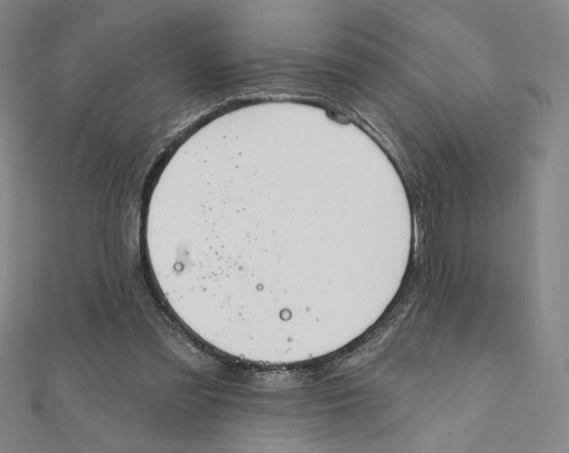 X0000112020301200908311200