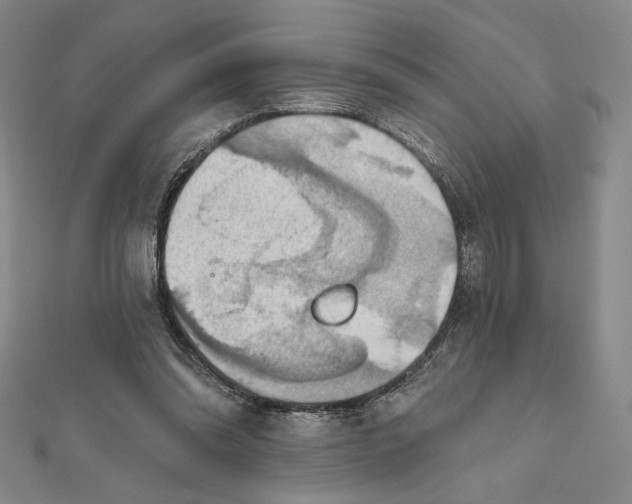 X0000112020302200908311200