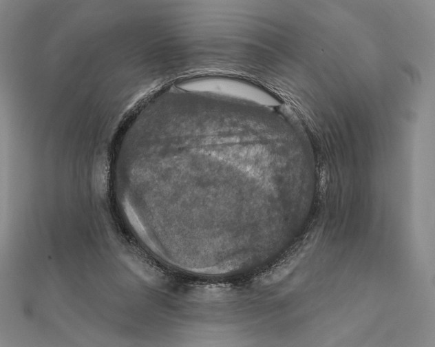 X0000112020304200908311200