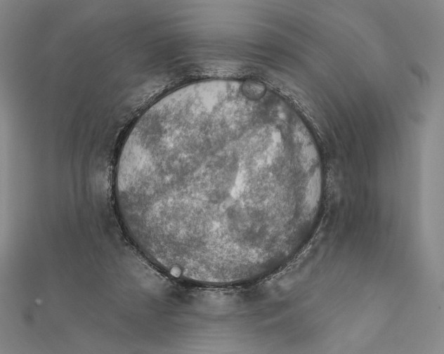 X0000112020305200908311200