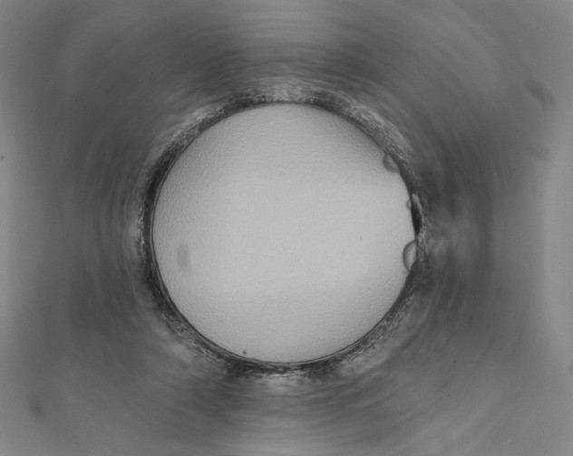 X0000112020306200908311200