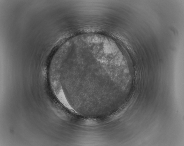 X0000112020308200908311200