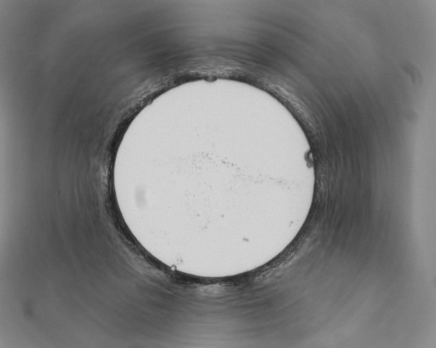 X0000112020309200908311200