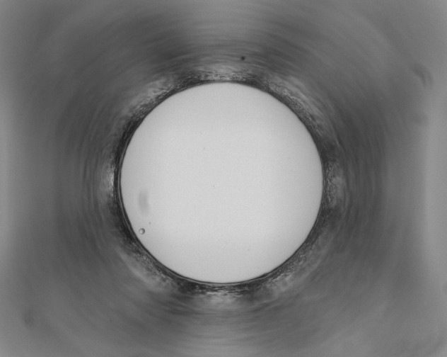 X0000112020310200908311200