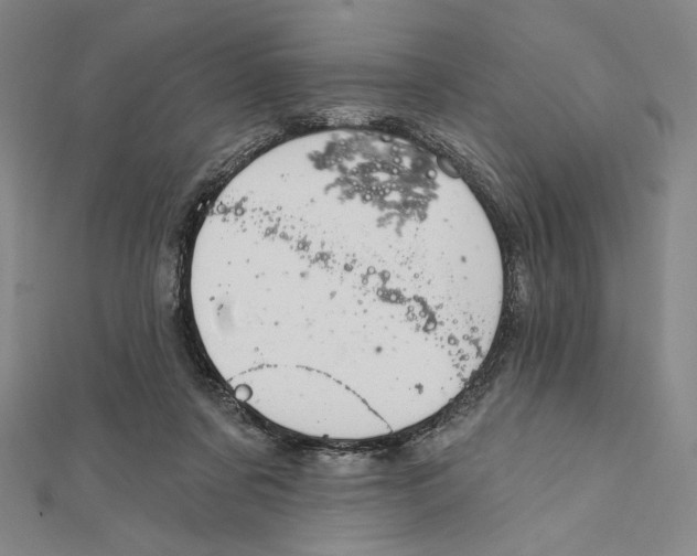 X0000112020311200908311200