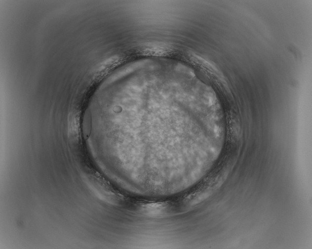 X0000112020312200908311200