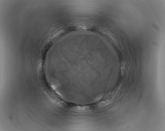 X0000112020314200908311200