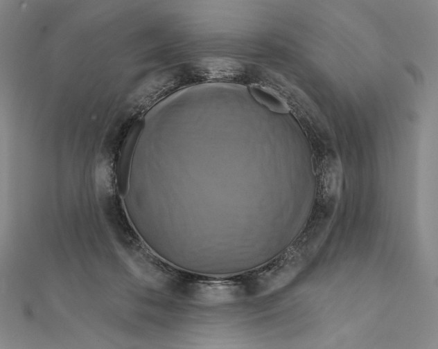 X0000112020316200908311200