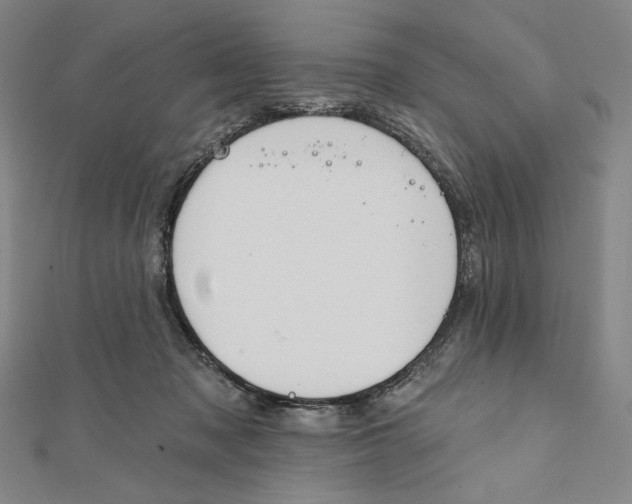 X0000112020317200908311200