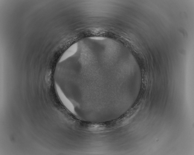 X0000112020319200908311200