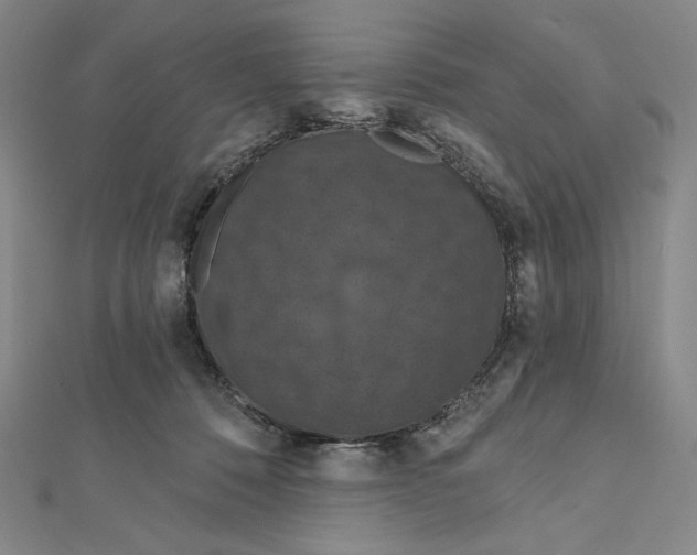 X0000112020320200908311200