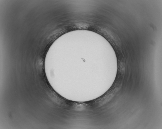 X0000112020321200908311200