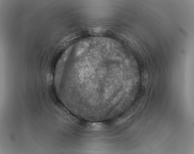 X0000112020324200908311200