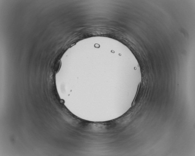 X0000112020327200908311200