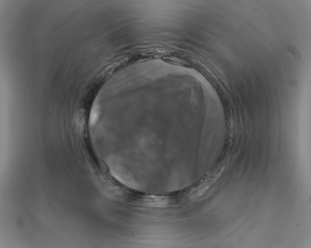 X0000112020328200908311200