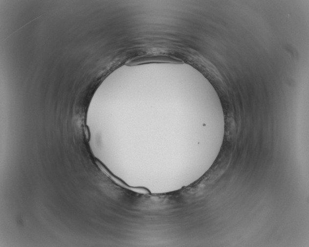 X0000112020329200908311200