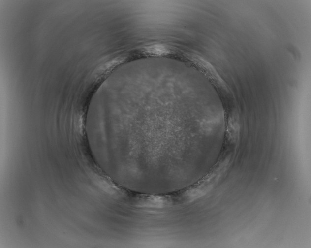 X0000112020330200908311200