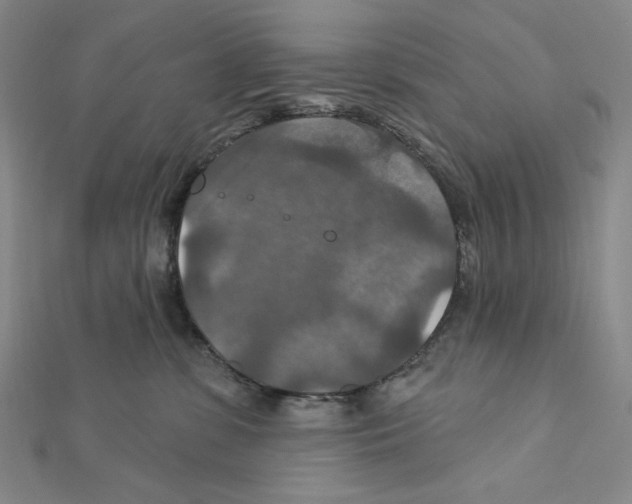 X0000112020331200908311200