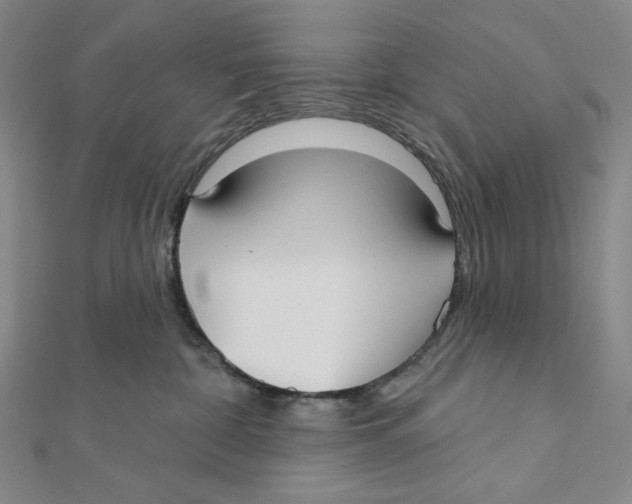 X0000112020332200908311200