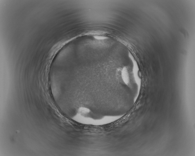 X0000112020337200908311159