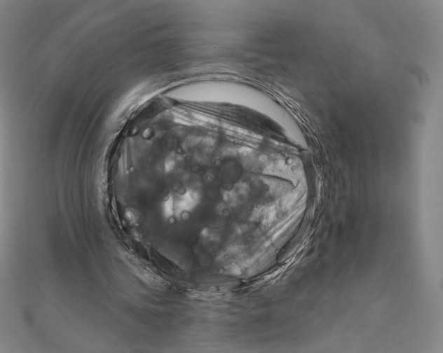 X0000112020339200908311159