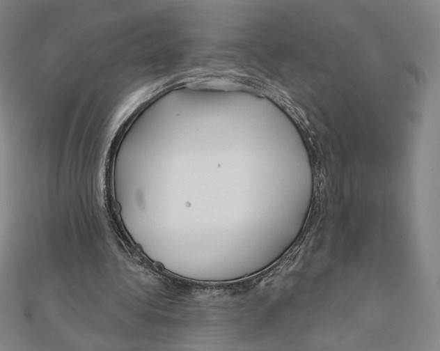 X0000112020340200908311159