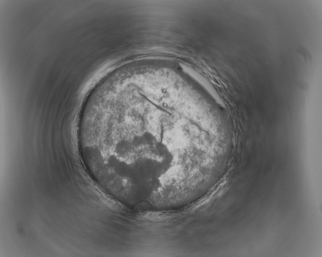 X0000112020341200908311159