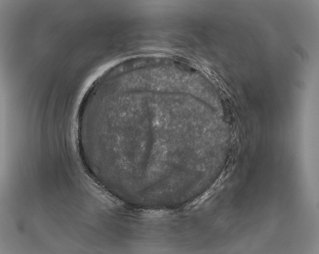 X0000112020342200908311159