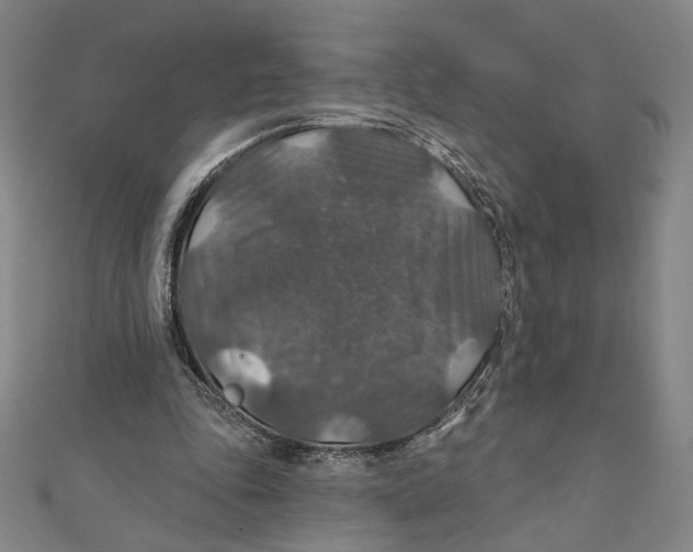 X0000112020343200908311159