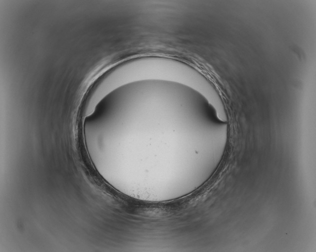 X0000112020344200908311159