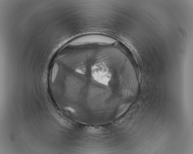 X0000112020346200908311159