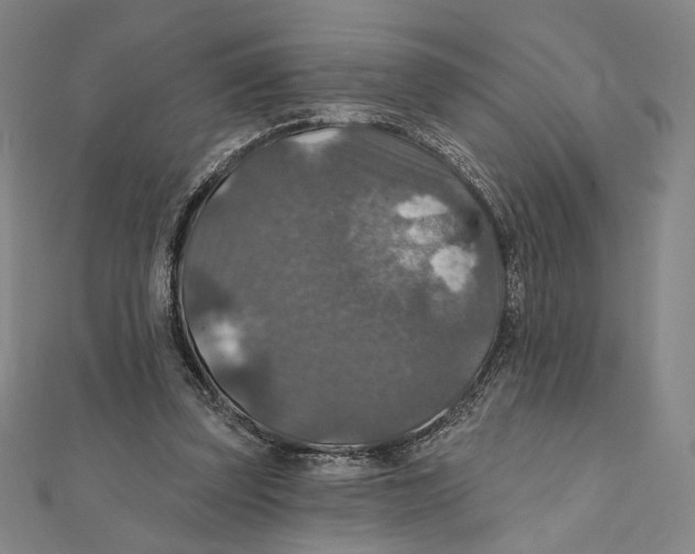 X0000112020347200908311159