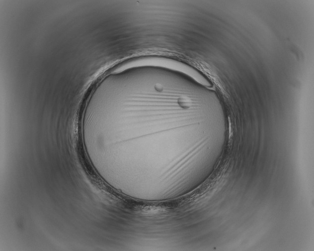 X0000112020348200908311159