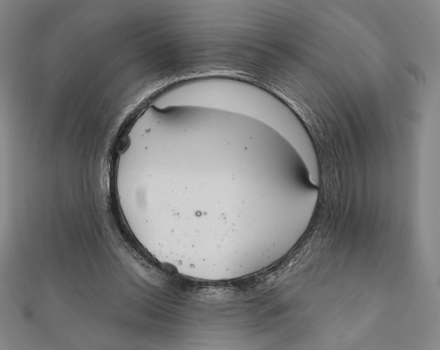 X0000112020350200908311159