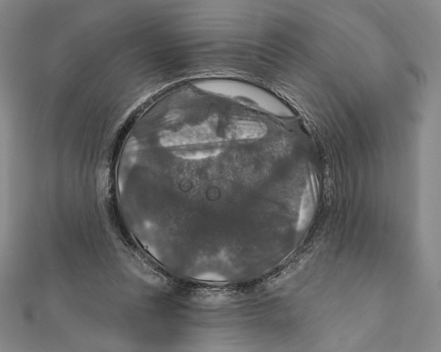 X0000112020351200908311159