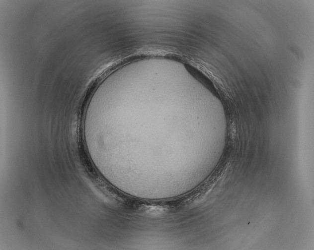 X0000112020352200908311159