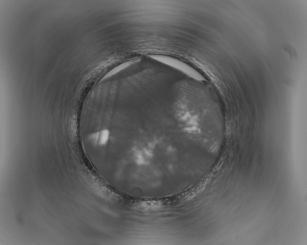 X0000112020353200908311159