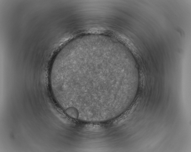 X0000112020354200908311159