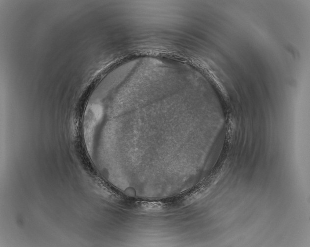 X0000112020355200908311159