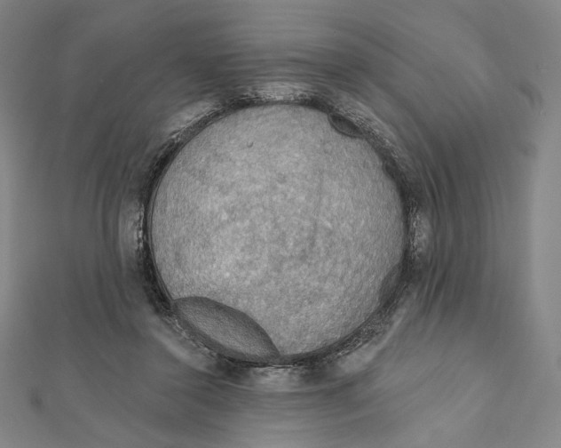 X0000112020356200908311159