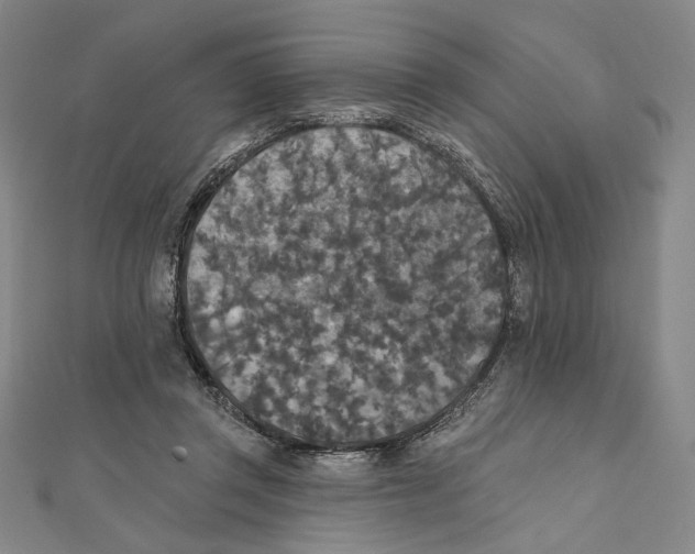 X0000112020357200908311159