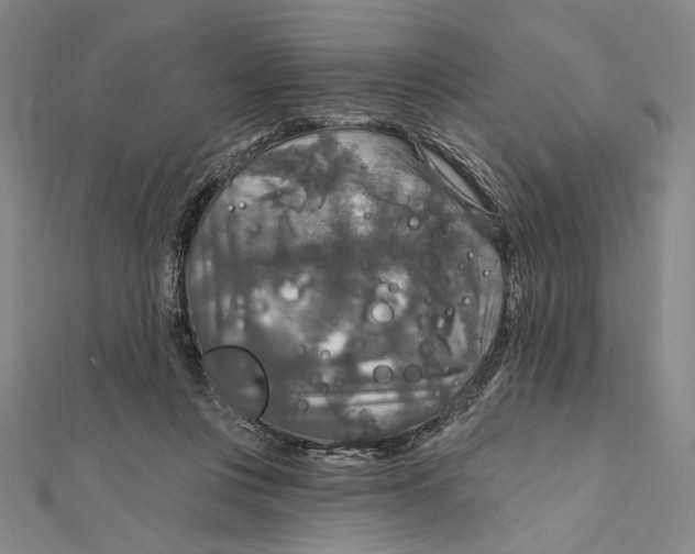 X0000112020359200908311159