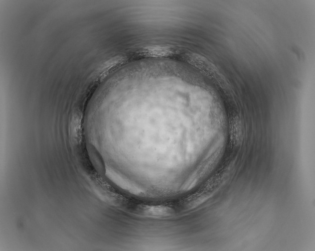 X0000112020360200908311159