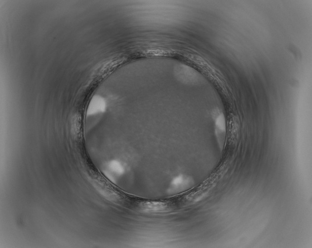 X0000112020361200908311159