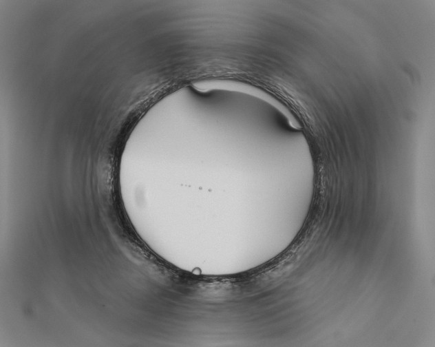 X0000112020362200908311159