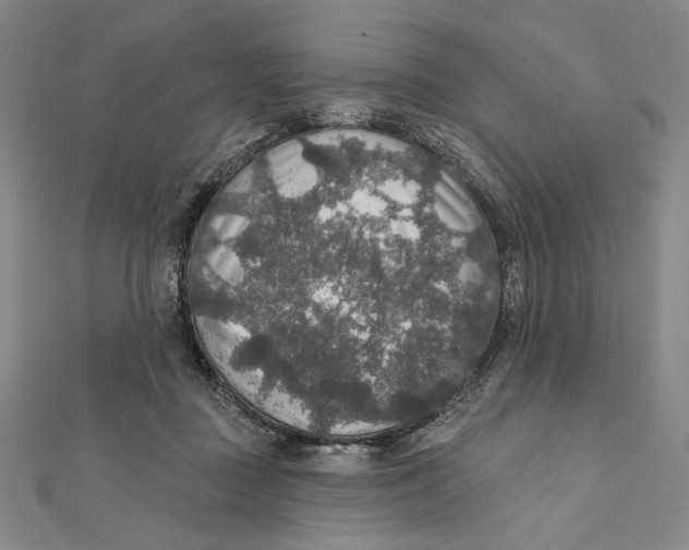 X0000112020363200908311159