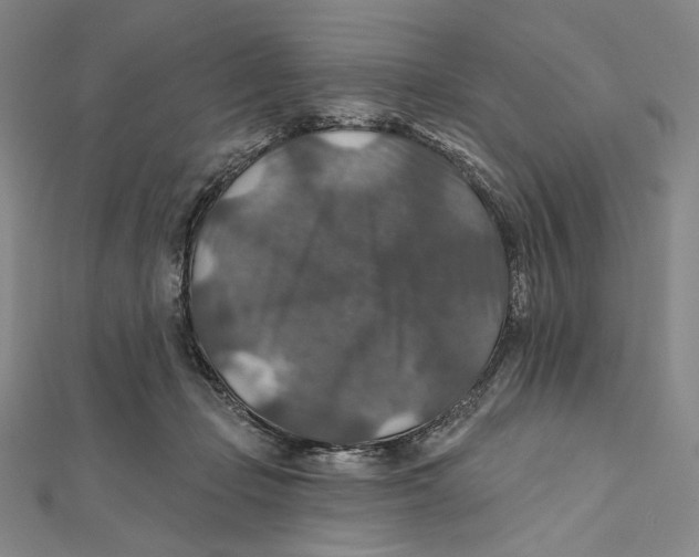 X0000112020365200908311159