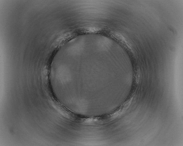 X0000112020366200908311159