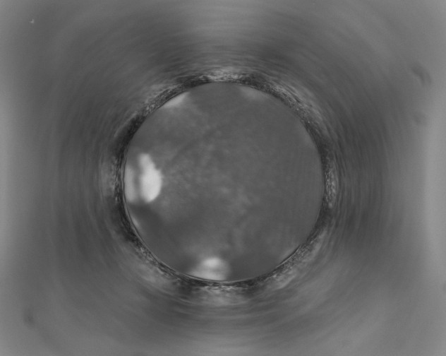 X0000112020367200908311159