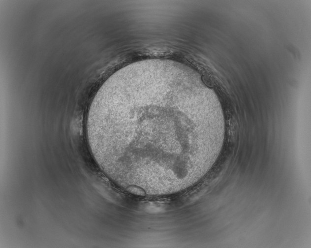 X0000112020368200908311159